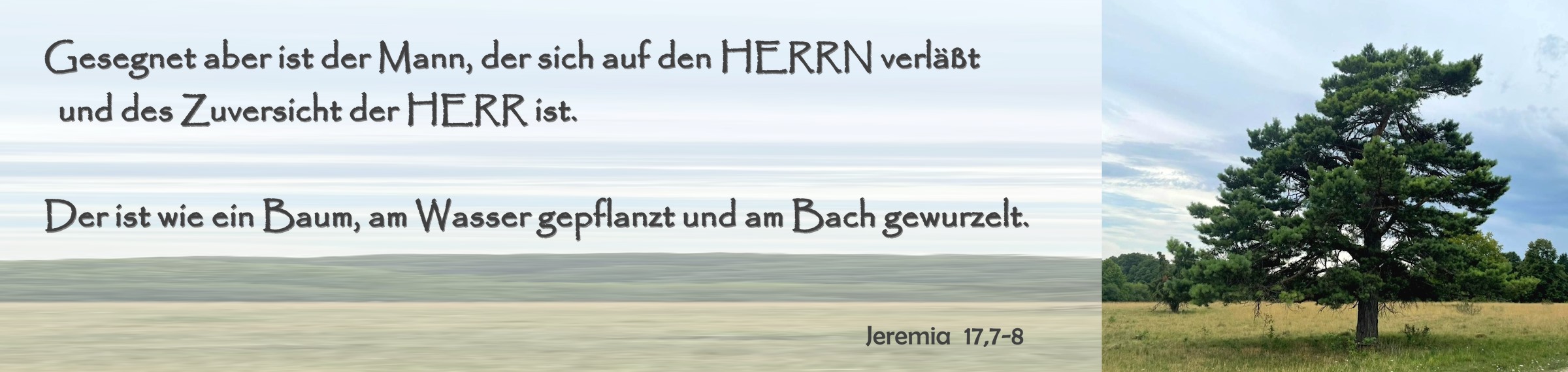 Gesegnet ist der Mann, der sich auf den Herrn verläßt und des Zuversicht der Herr ist. Der ist wie ein Baum, am Wasser gepflanzt und am Bach gewurzelt.